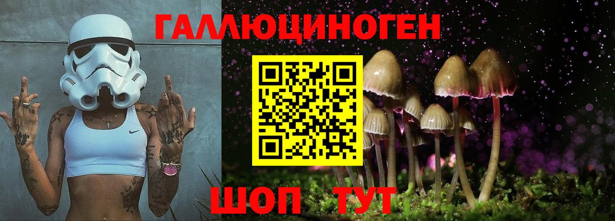 Галлюциногенные грибы мухоморы  Вход с VPN  Галлюциногенные грибы Magic Shrooms  Владикавказ 